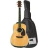GUITARE ACOUSTIQUE DALLAS WT810N