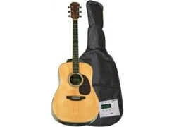 GUITARE ACOUSTIQUE DALLAS WT810N